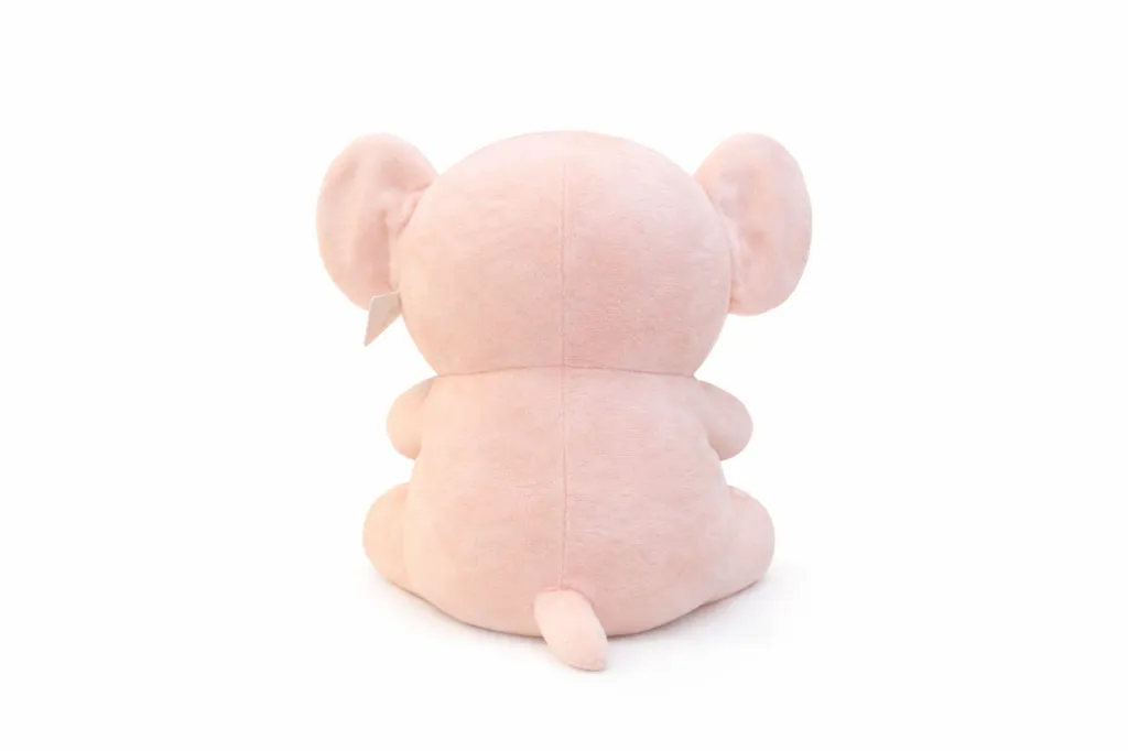 WhatsApp Image 2026-01-12 at 8.49.01 PM.webp